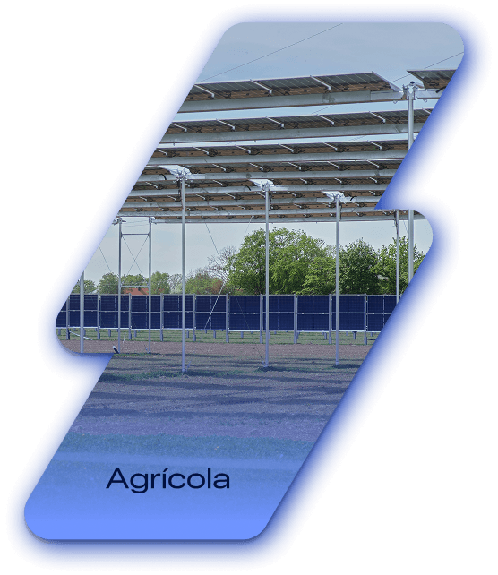 Agrícola